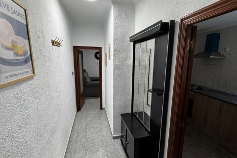 Penthäuser zur Miete in Alicante, Spanien 3 Schlafzimmer, 84 m2 Nr. 146964 - Foto 25