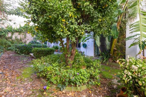 House for sale El Puerto de Santa Maria, Cadiz, Spain 8 bedrooms, 900 sq.m. No. 106943 - photo 18