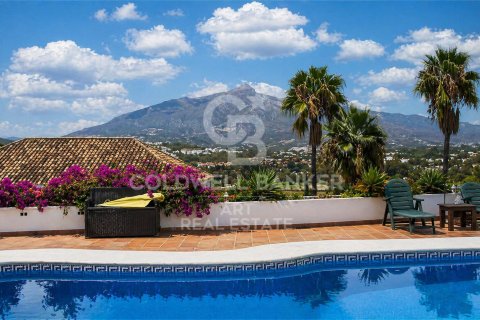 Villa à vendre à Sotogrande, Cadiz, Espagne, 5 chambres, 646 m2 No. 178568 - photo 5