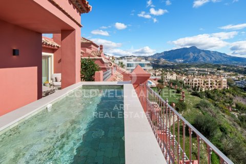 Penthouse à vendre à Benahavis, Malaga, Espagne, 2 chambres, 195 m2 No. 178565 - photo 29
