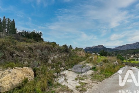 Tontti myytävänä Benissa, Alicante, Espanja , 10478 m2 No. 152230 - kuva 10