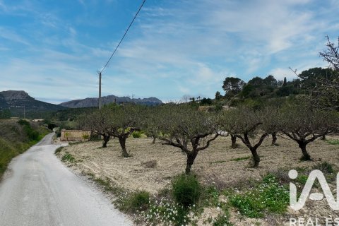 Tontti myytävänä Benissa, Alicante, Espanja , 10478 m2 No. 152230 - kuva 13