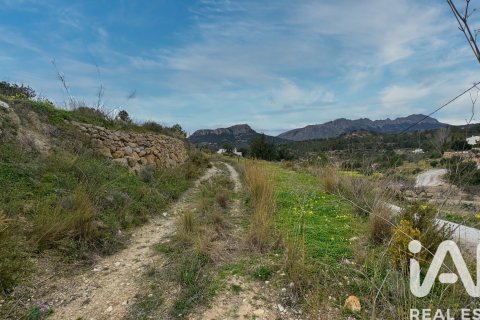 Tontti myytävänä Benissa, Alicante, Espanja , 10478 m2 No. 152230 - kuva 9