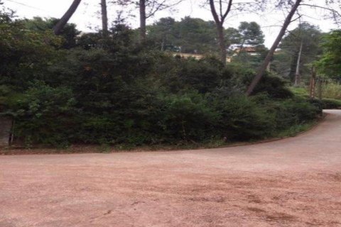 Terreno in vendita a Cervello, Barcelona, Spagna N° 191415 - foto 4