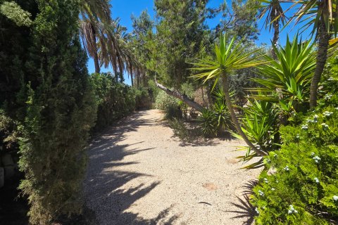 Villa pārdošanā Elche, Alicante, Spānijā 9 istabas, 285 m2 Nr. 189901 - attēls 5
