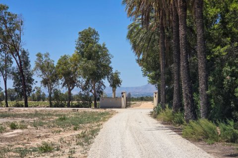 Villa pārdošanā Elche, Alicante, Spānijā 9 istabas, 285 m2 Nr. 189901 - attēls 2
