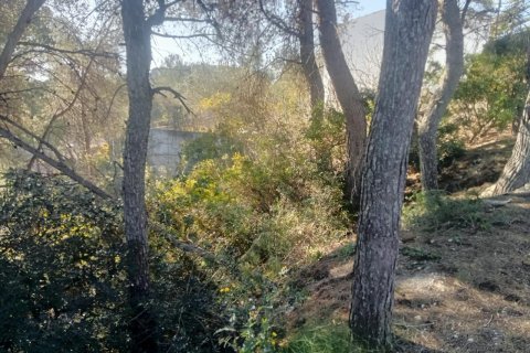 Terreno a Olivella, Barcelona, Spagna N° 191237