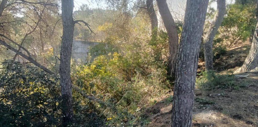 Terreno a Olivella, Barcelona, Spagna N° 191237