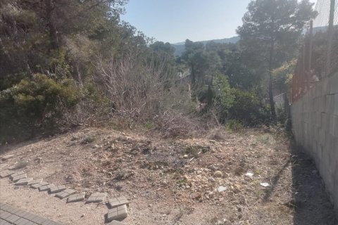 Terreno in vendita a Olivella, Barcelona, Spagna N° 191237 - foto 4