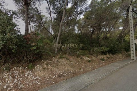 Terreno in vendita a Olivella, Barcelona, Spagna N° 191237 - foto 6