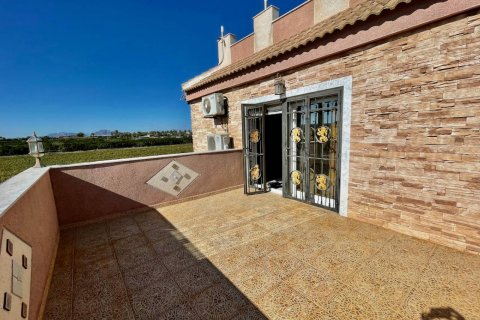 Продажа виллы в Гуардамар-дель-Сегура, Аликанте, Испания 6 спален, 450м2 №119010 - фото 28