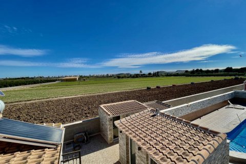 Продажа виллы в Гуардамар-дель-Сегура, Аликанте, Испания 6 спален, 450м2 №119010 - фото 27
