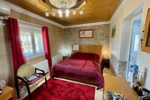Продажа виллы в Гуардамар-дель-Сегура, Аликанте, Испания 6 спален, 450м2 №119010 - фото 13