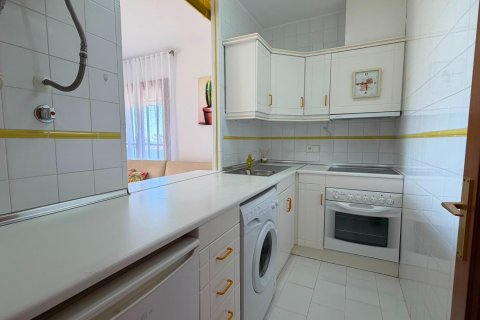 Продажа квартиры в Торревьеха, Аликанте, Испания 1 спальня, 63м2 №190026 - фото 30