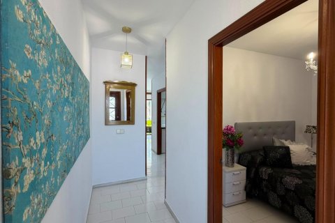 Продажа квартиры в Торревьеха, Аликанте, Испания 1 спальня, 63м2 №190026 - фото 2