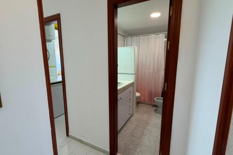 Продажа квартиры в Торревьеха, Аликанте, Испания 1 спальня, 63м2 №190026 - фото 12