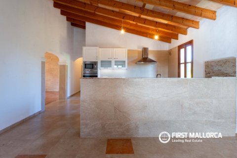Finca for sale in Santa Maria Del Cami, Mallorca, Spain 3 bedrooms, 180 sq.m. No. 167951 - photo 23