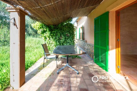 Finca for sale in Santa Maria Del Cami, Mallorca, Spain 3 bedrooms, 180 sq.m. No. 167951 - photo 10