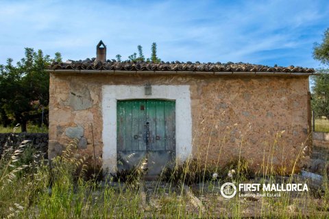 Finca for sale in Santa Maria Del Cami, Mallorca, Spain 3 bedrooms, 180 sq.m. No. 167951 - photo 12