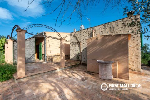 Finca for sale in Santa Maria Del Cami, Mallorca, Spain 3 bedrooms, 180 sq.m. No. 167951 - photo 9