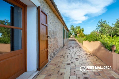 Finca for sale in Santa Maria Del Cami, Mallorca, Spain 3 bedrooms, 180 sq.m. No. 167951 - photo 2