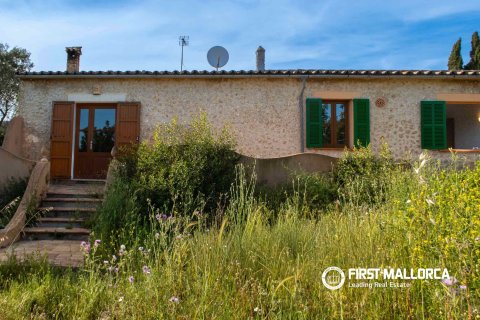 Finca for sale in Santa Maria Del Cami, Mallorca, Spain 3 bedrooms, 180 sq.m. No. 167951 - photo 18