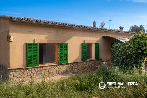 Finca for sale in Santa Maria Del Cami, Mallorca, Spain 3 bedrooms, 180 sq.m. No. 167951 - photo 16