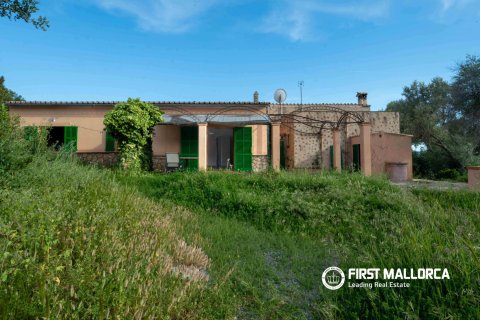 Finca for sale in Santa Maria Del Cami, Mallorca, Spain 3 bedrooms, 180 sq.m. No. 167951 - photo 20