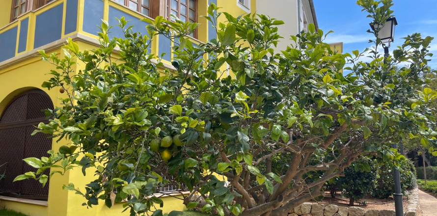 Apartment in Bendinat, Mallorca, Spain 2 bedrooms, 121 sq.m. No. 167948