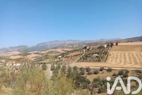 Land plot for sale in Casabermeja, Malaga, Spain 2912 sq.m. No. 185279 - photo 3