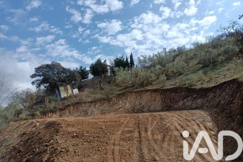 Land plot for sale in Casabermeja, Malaga, Spain 2912 sq.m. No. 185279 - photo 4