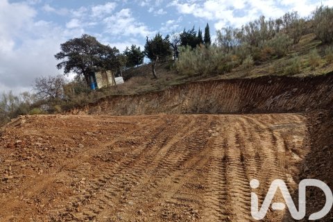Land plot for sale in Casabermeja, Malaga, Spain 2912 sq.m. No. 185279 - photo 6