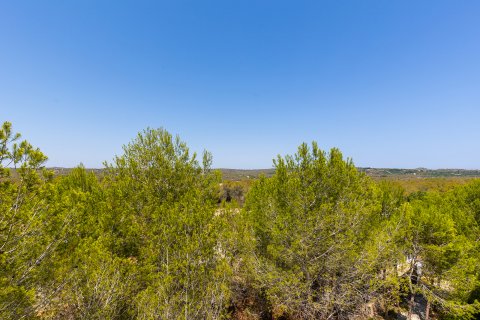 Huoneisto myytävänä Pinar De Campoverde, Alicante, Espanja, 2 makuuhuonetta, 175 m2 No. 114572 - kuva 29
