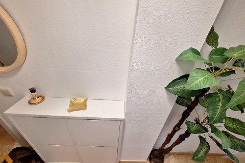 Appartamento in affitto a Torrevieja, Alicante, Spagna 56 mq. N° 144665 - foto 7