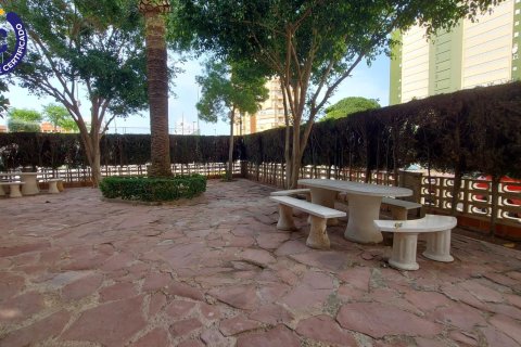 Dzīvoklis pārdošanā La Pobla de Farnals, Valencia, Spānijā 3 istabas, 89 m2 Nr. 140712 - attēls 21