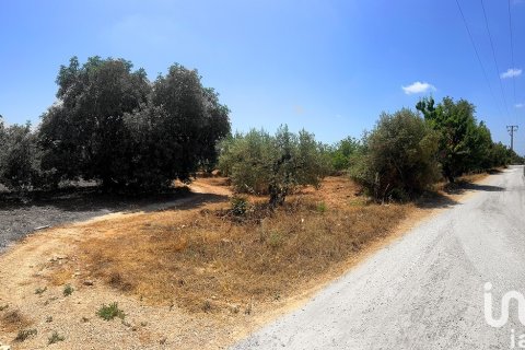 Tontti myytävänä Alcover, Tarragona, Espanja , 11201 m2 No. 185807 - kuva 2