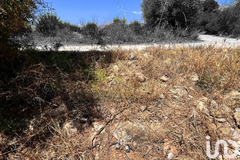 Tontti myytävänä Alcover, Tarragona, Espanja , 11201 m2 No. 185807 - kuva 3