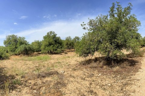 Tontti myytävänä Alcover, Tarragona, Espanja , 11201 m2 No. 185807 - kuva 6