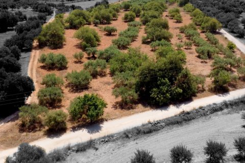Terreno a Alcover, Tarragona, Spagna 11201 mq. N° 185807