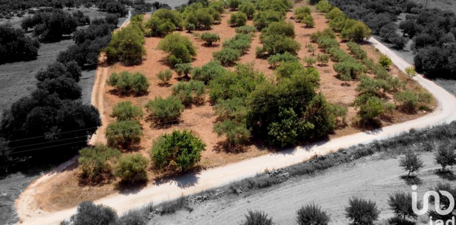 Tontti Alcover, Tarragona, Espanja 11201 m2 No. 185807