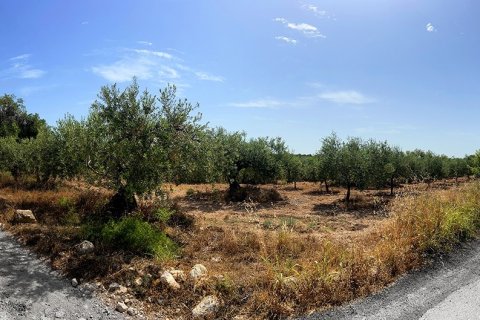 Tontti myytävänä Alcover, Tarragona, Espanja , 11201 m2 No. 185807 - kuva 7