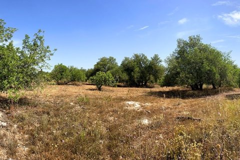 Tontti myytävänä Alcover, Tarragona, Espanja , 11201 m2 No. 185807 - kuva 4