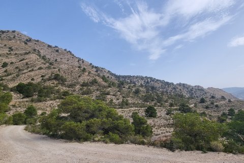 Terreno in vendita a Jijona, Alicante, Spagna 88778 mq. N° 185811 - foto 16