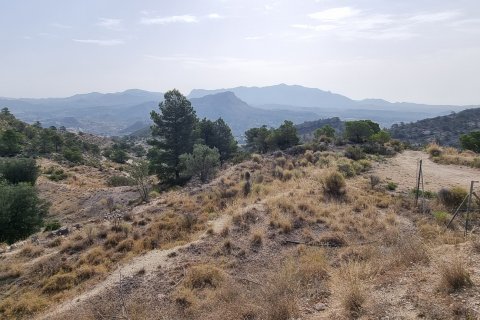 Terreno in vendita a Jijona, Alicante, Spagna 88778 mq. N° 185811 - foto 4