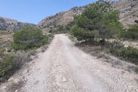 Terreno in vendita a Jijona, Alicante, Spagna 88778 mq. N° 185811 - foto 20