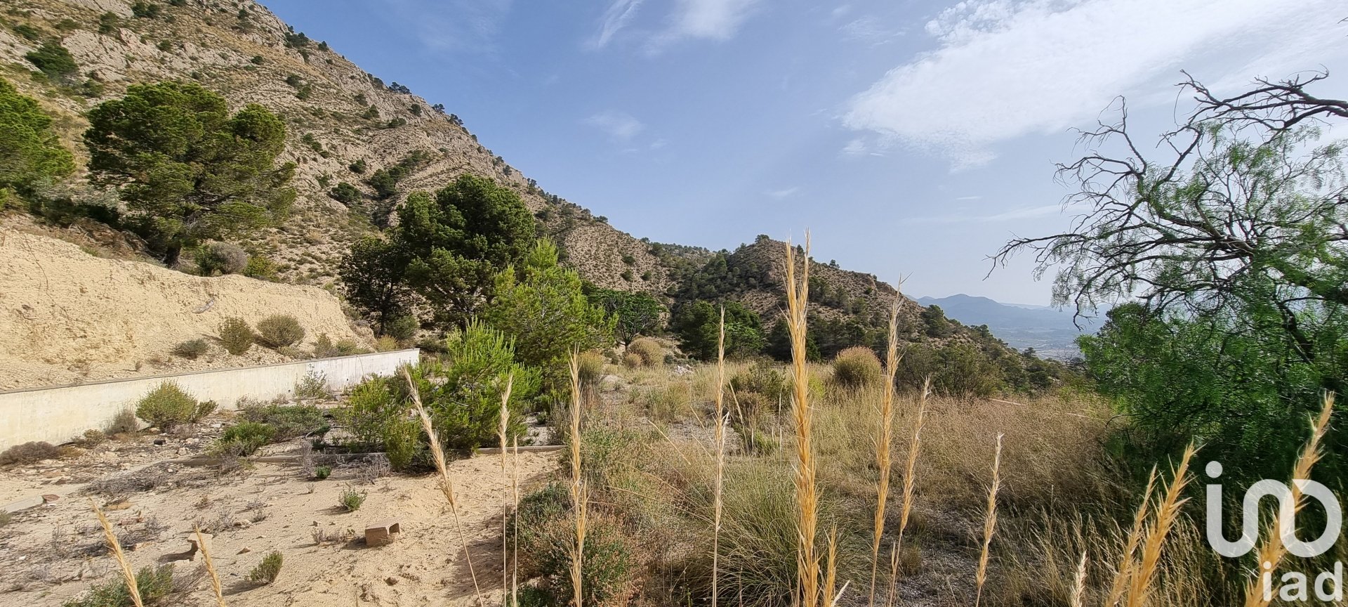 Land plot à Jijona, Alicante, Espagne 88778 m2 No. 185811