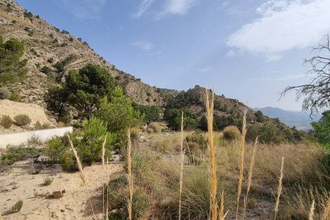 Terreno in vendita a Jijona, Alicante, Spagna 88778 mq. N° 185811 - foto 12