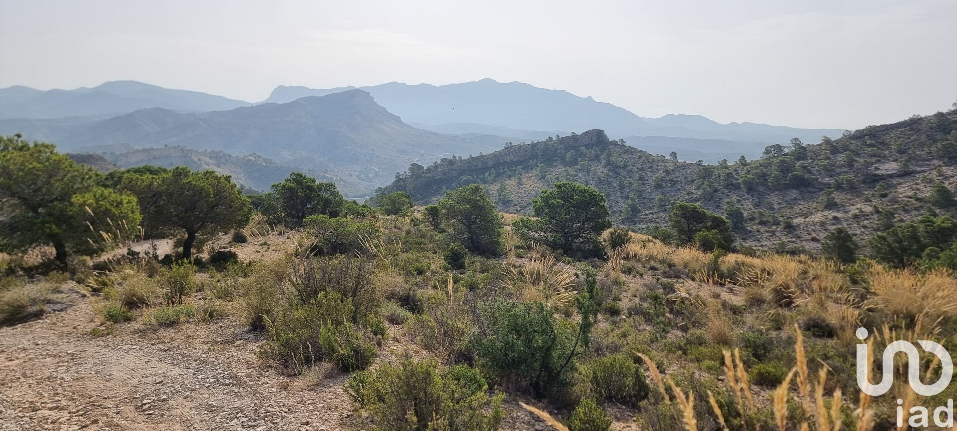 Land plot à Jijona, Alicante, Espagne 88778 m2 No. 185811