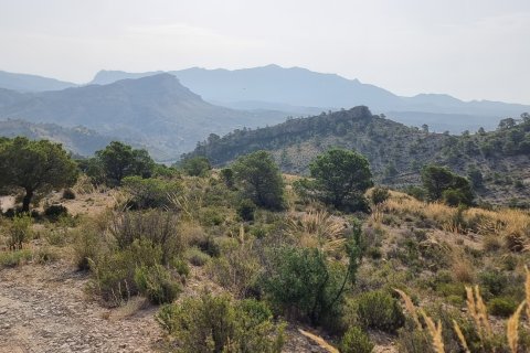 Terreno in vendita a Jijona, Alicante, Spagna 88778 mq. N° 185811 - foto 2