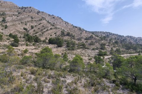 Terreno in vendita a Jijona, Alicante, Spagna 88778 mq. N° 185811 - foto 21